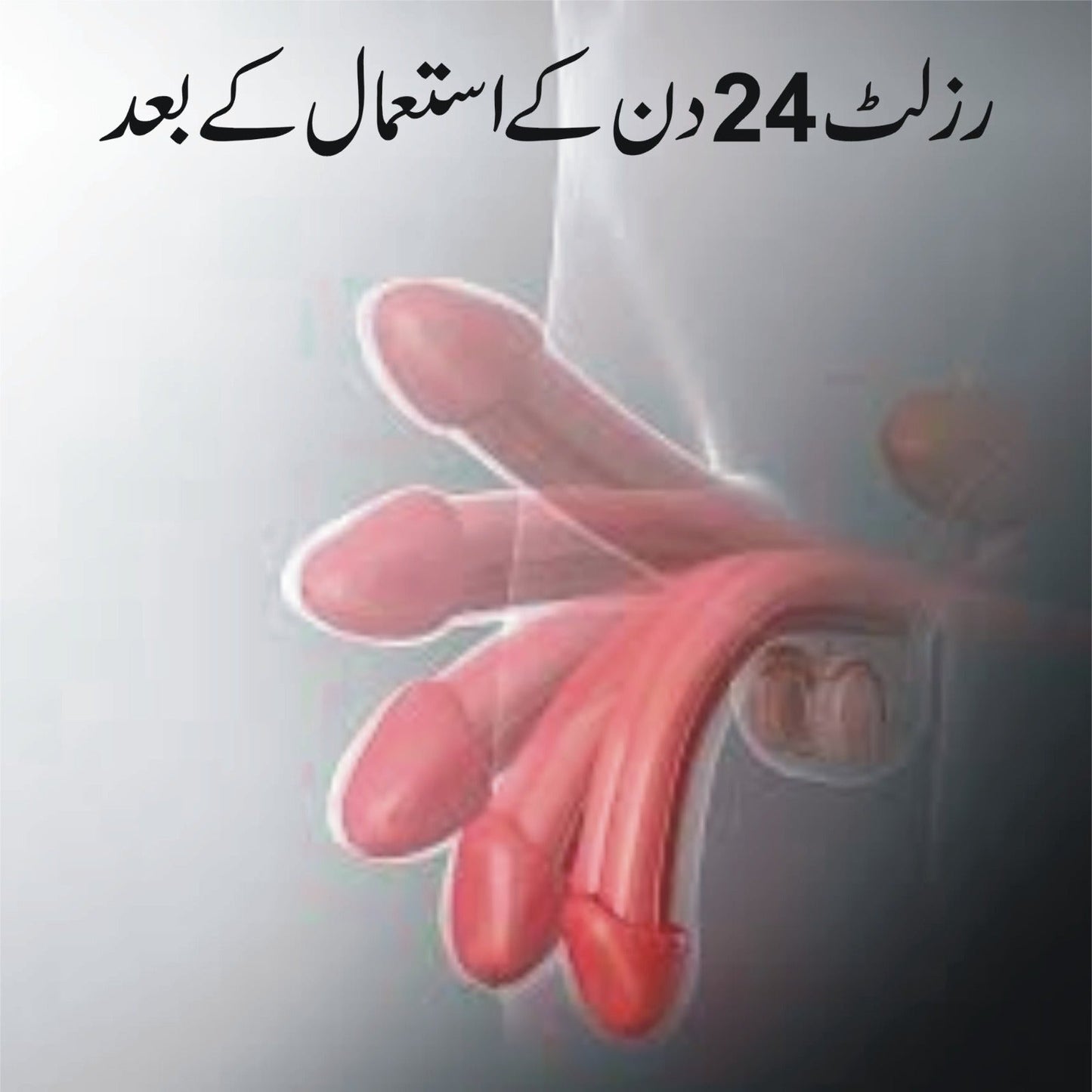 NIGHT POWER نفس کا مسئلہ 30 دن میں ختم